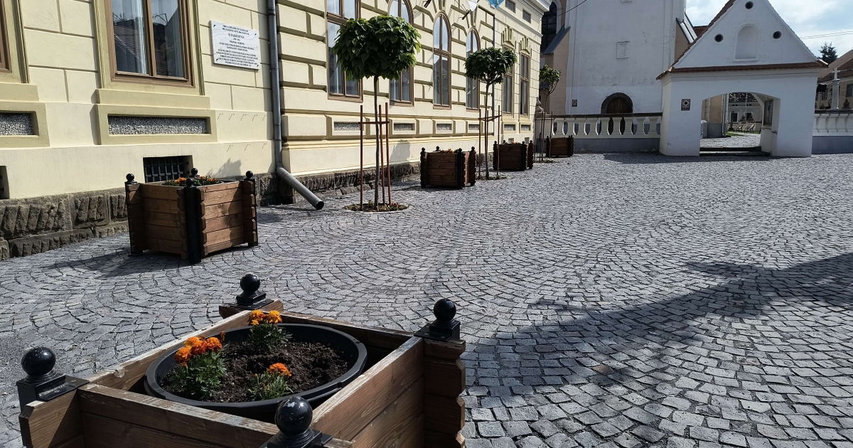 Tövestől téptek ki virágokat a Szent Miklós-templom előtti téren ismeretlen tettesek